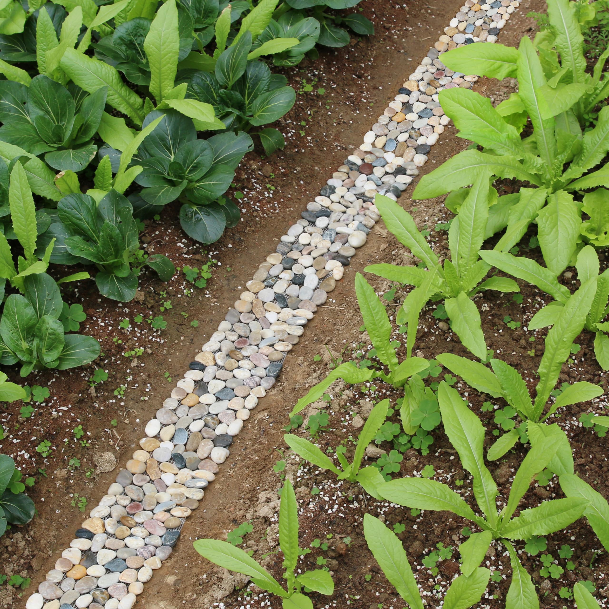 Sunnyglade PVC mesh backing detail demonstrating stability and easy soil integration