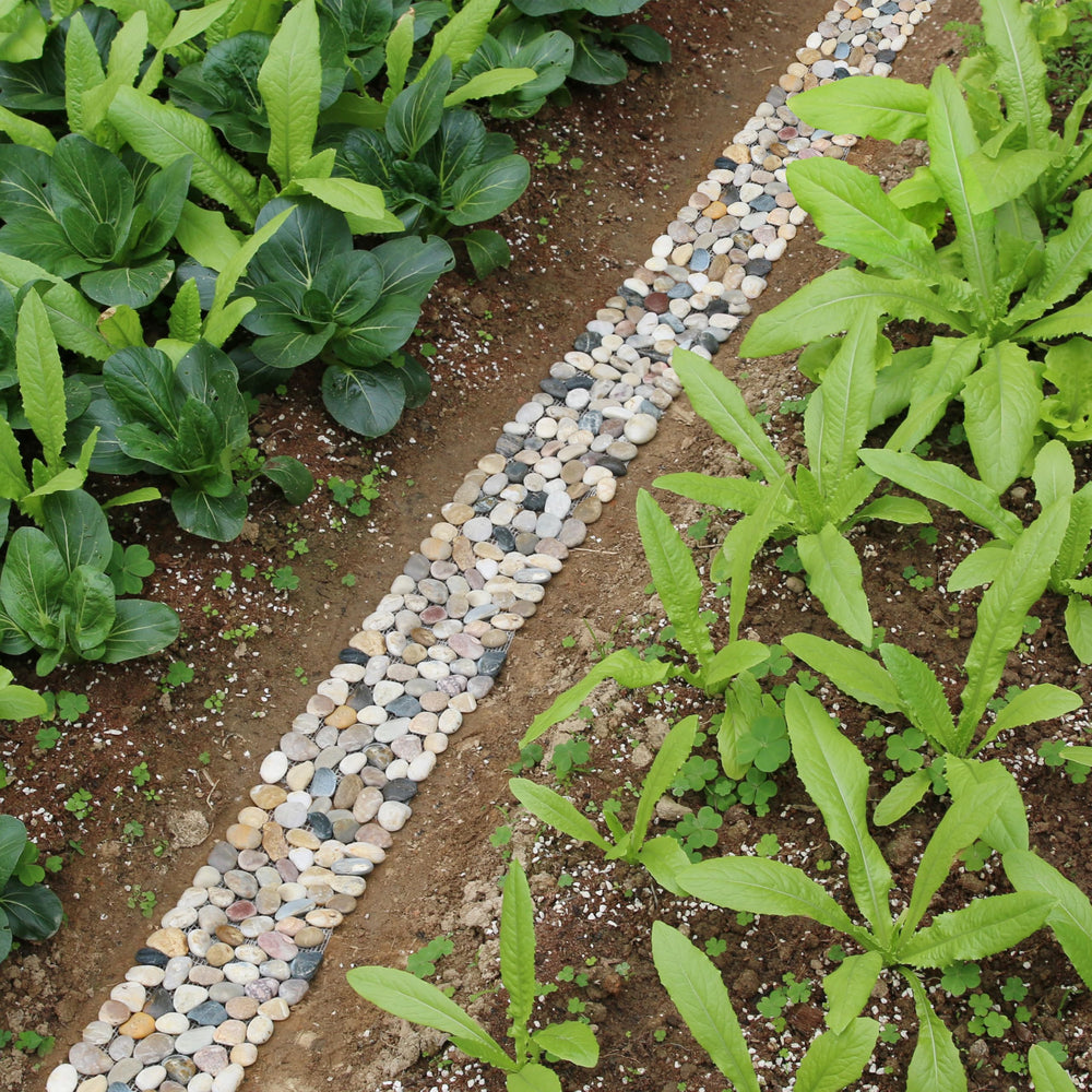 Sunnyglade PVC mesh backing detail demonstrating stability and easy soil integration