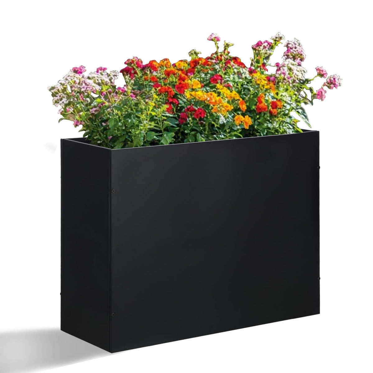 SUNNYPARK front view of black metal planter showing clean modern design and curb appeal