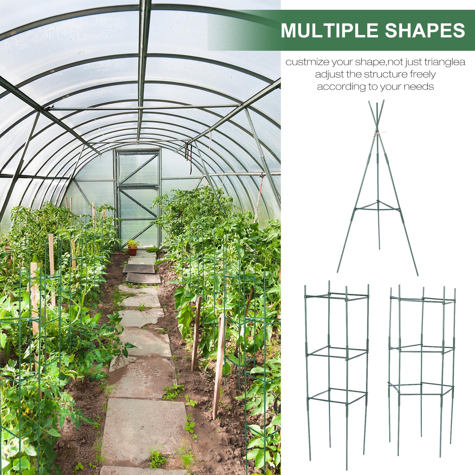 Sunnyray cage in use with tomato plant demonstrating tidy vertical growth benefit