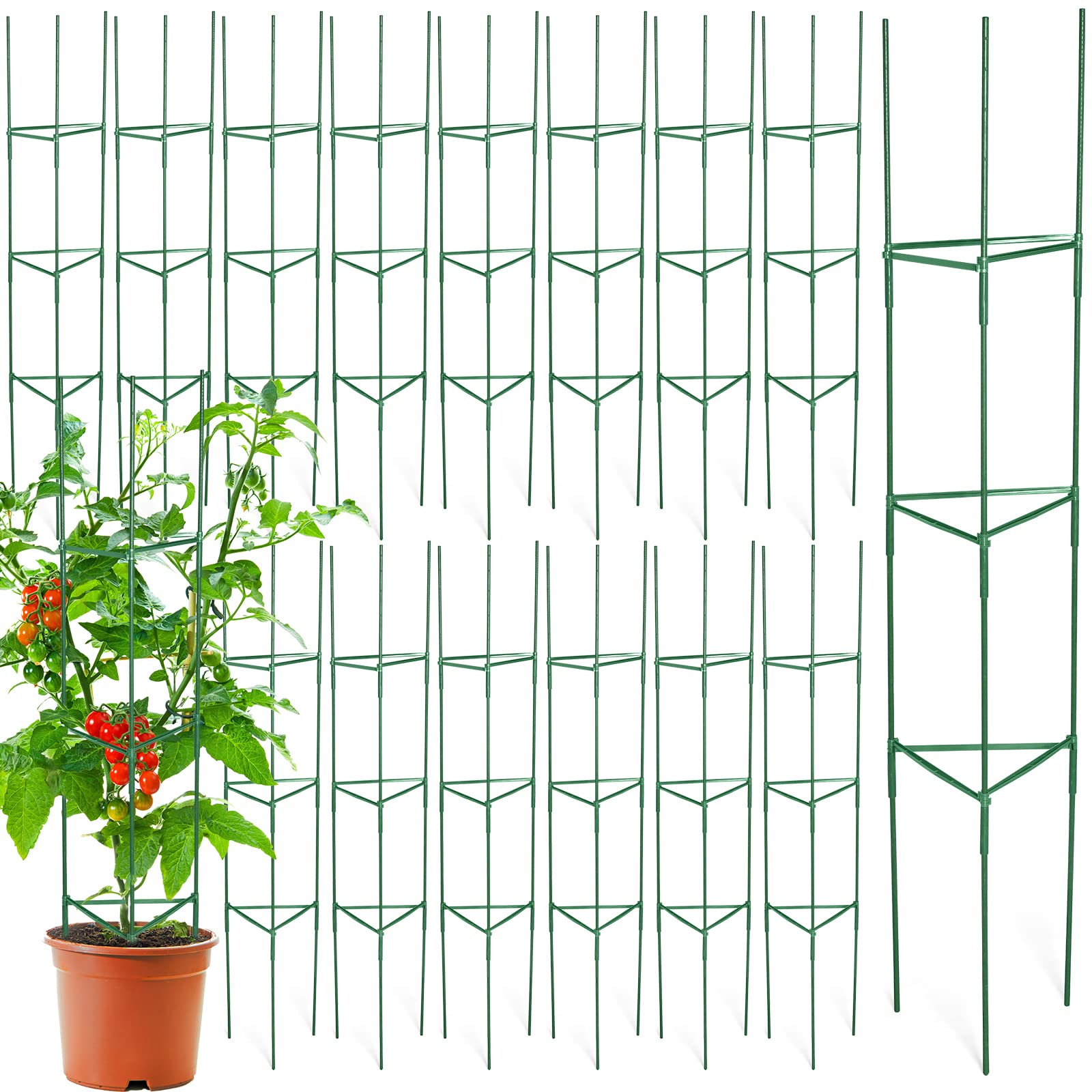 Sunnyray front view assembled cage showing stable support and tidy garden look