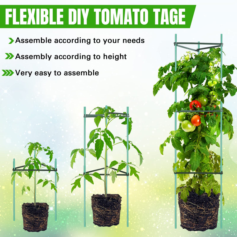 Sunnyray cage supporting tomato plant for cleaner harvests