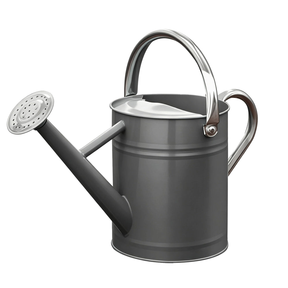 SunnyTong front view gray watering can showing sleek shape and durability