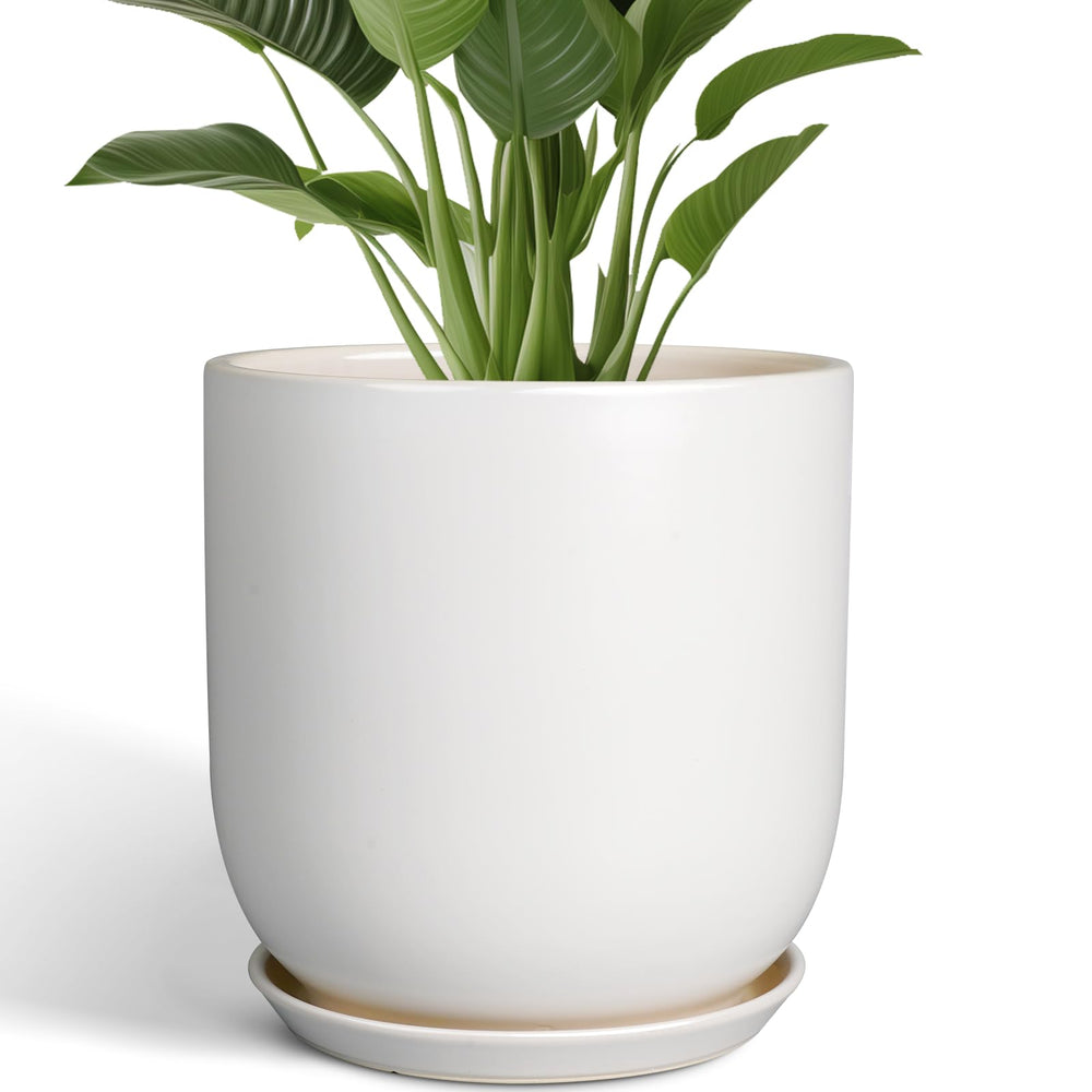 SUNPOTFOR front view of white 12-inch pot showing clean modern design and stability