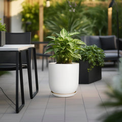 SUNPOTFOR matching saucer catching runoff to protect floors and surfaces