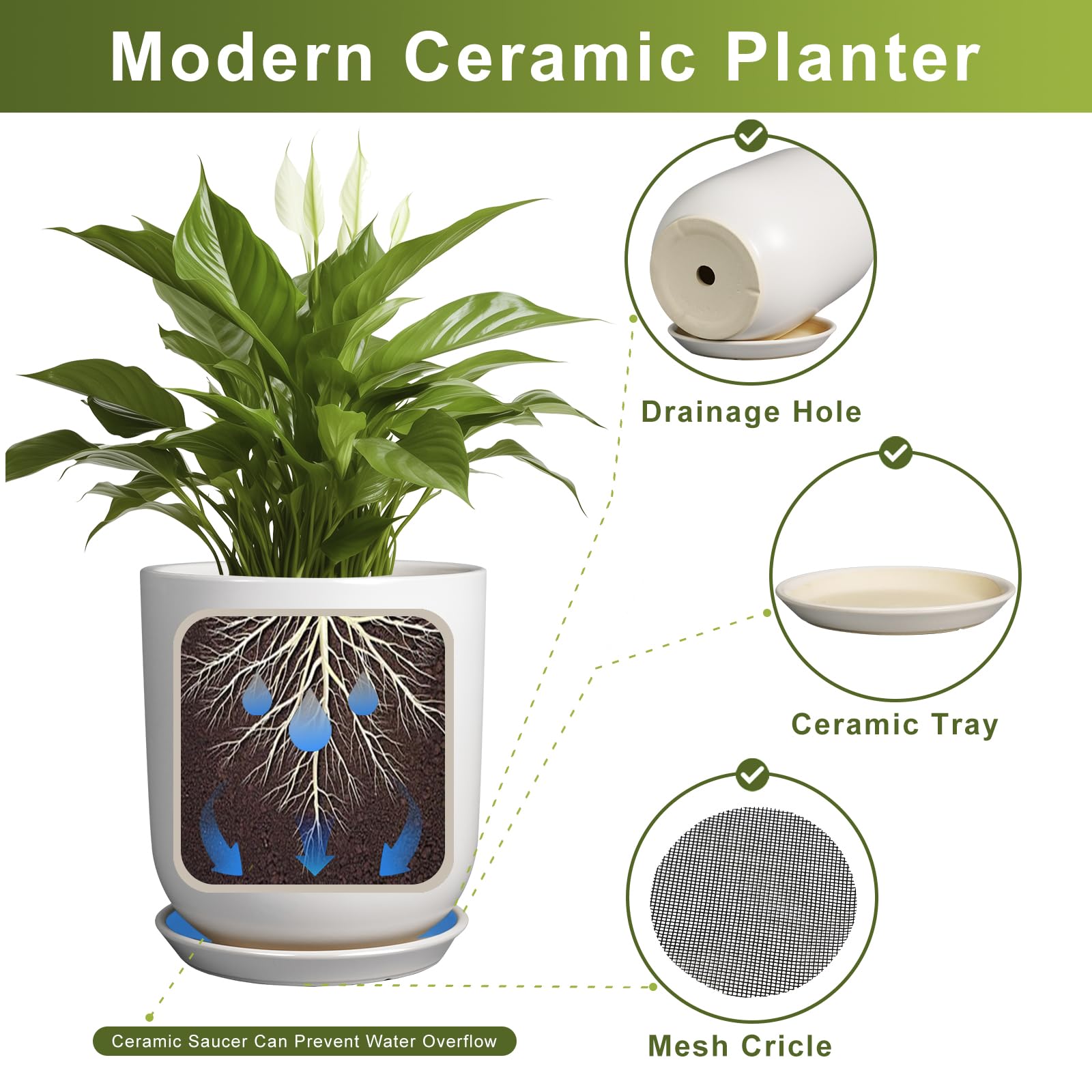 SUNPOTFOR planter styled in living room for modern decor and easy plant display