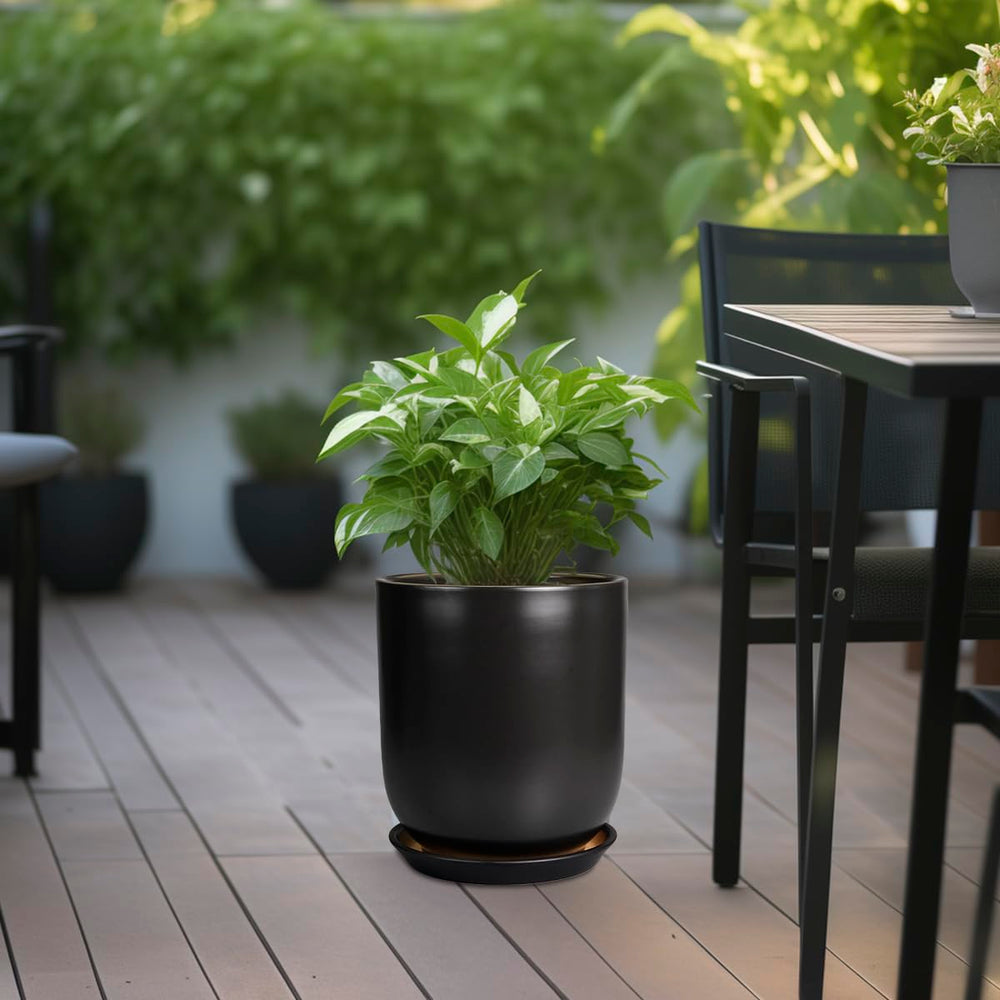 SUNPOTFOR saucer under pot catching runoff to protect surfaces and simplify watering