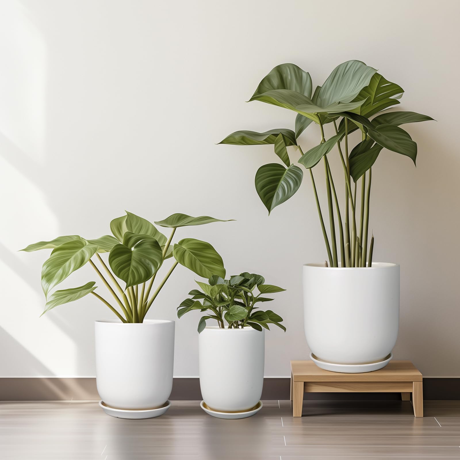 SUNPOTFOR pot beside a plant to show scale and suitability for larger specimens