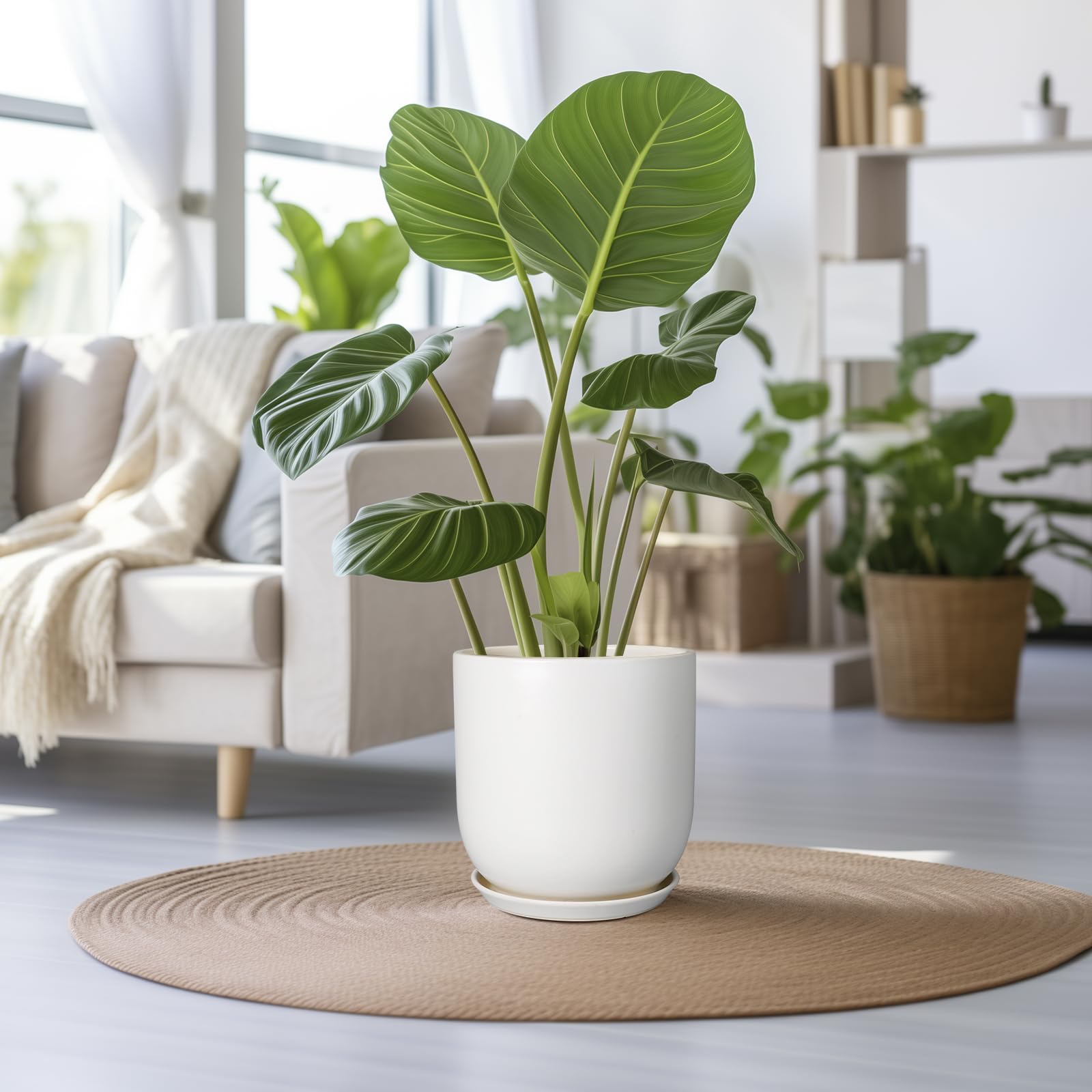 SUNPOTFOR side profile highlighting 11.6 inch diameter and 12 inch height for large plants