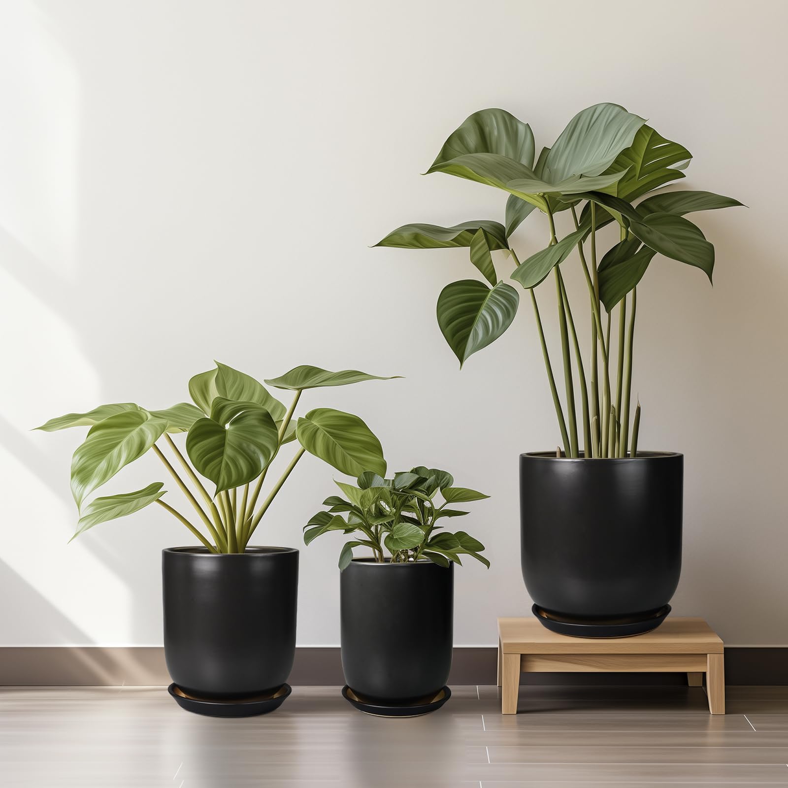 SUNPOTFOR planter beside ruler illustrating scale for selecting correct plant size