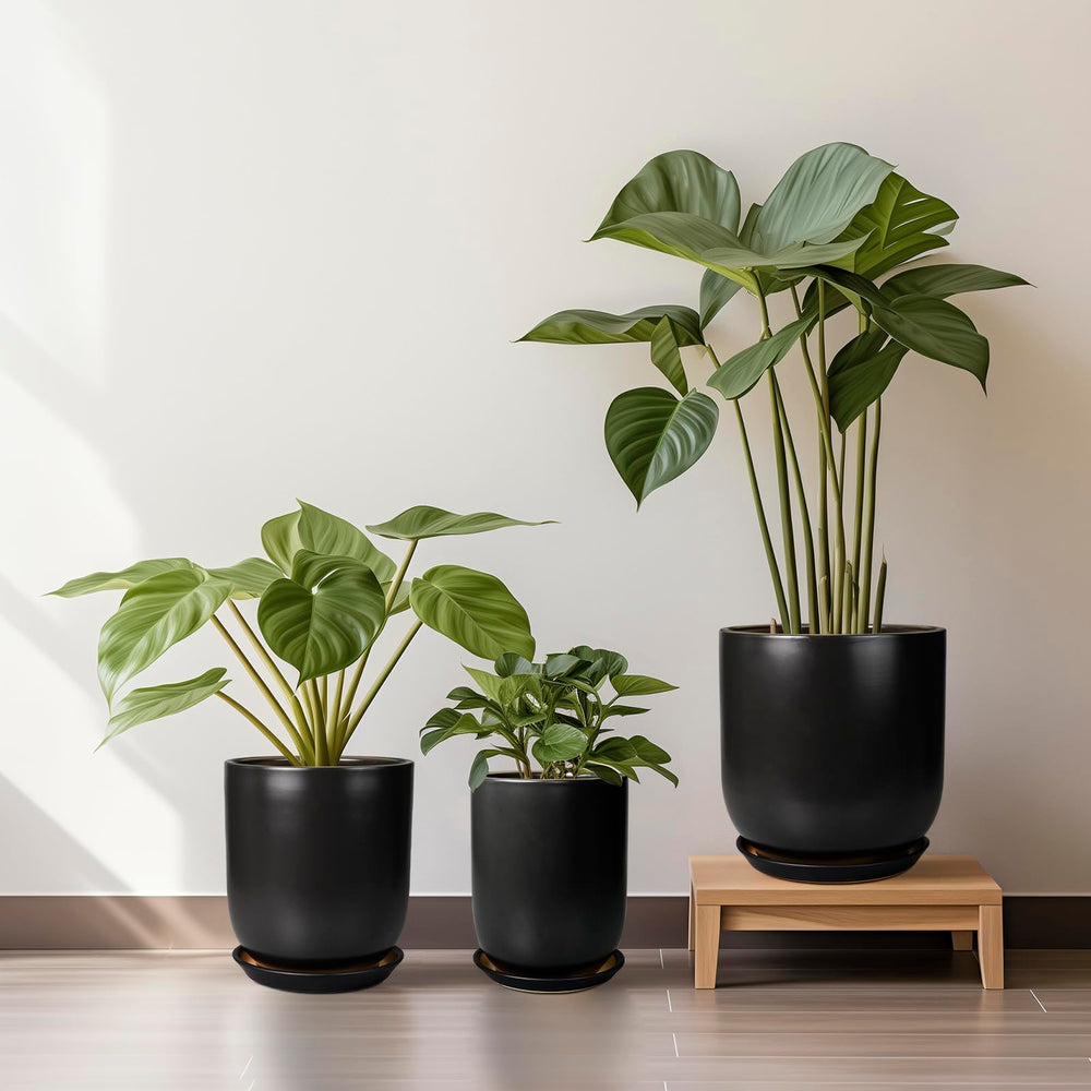 SUNPOTFOR planter beside ruler illustrating scale for selecting correct plant size