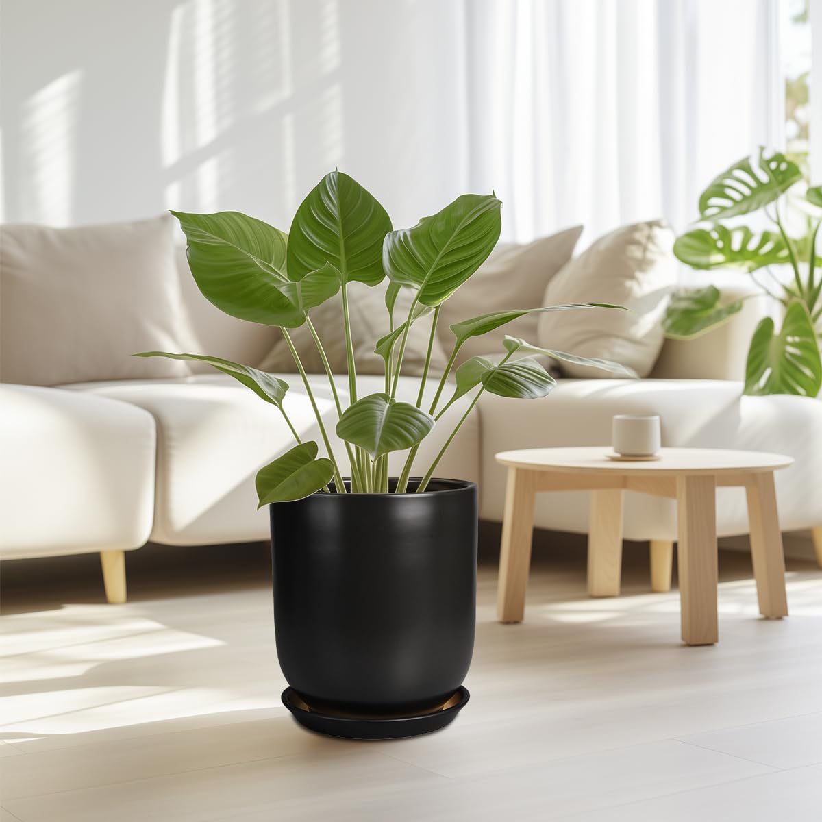 SUNPOTFOR top-down view showing 9.5-inch diameter and 10.8-inch height for plant fit