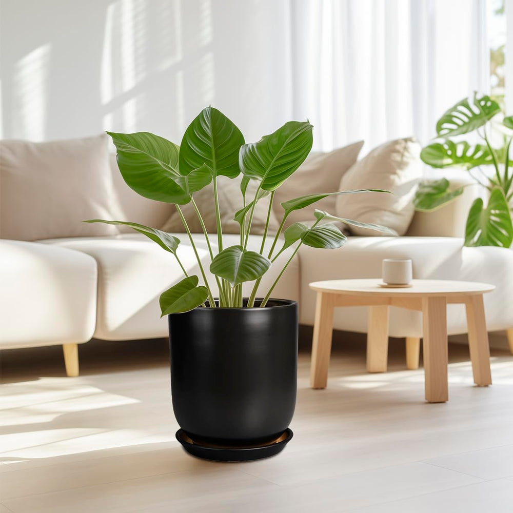 SUNPOTFOR top-down view showing 9.5-inch diameter and 10.8-inch height for plant fit