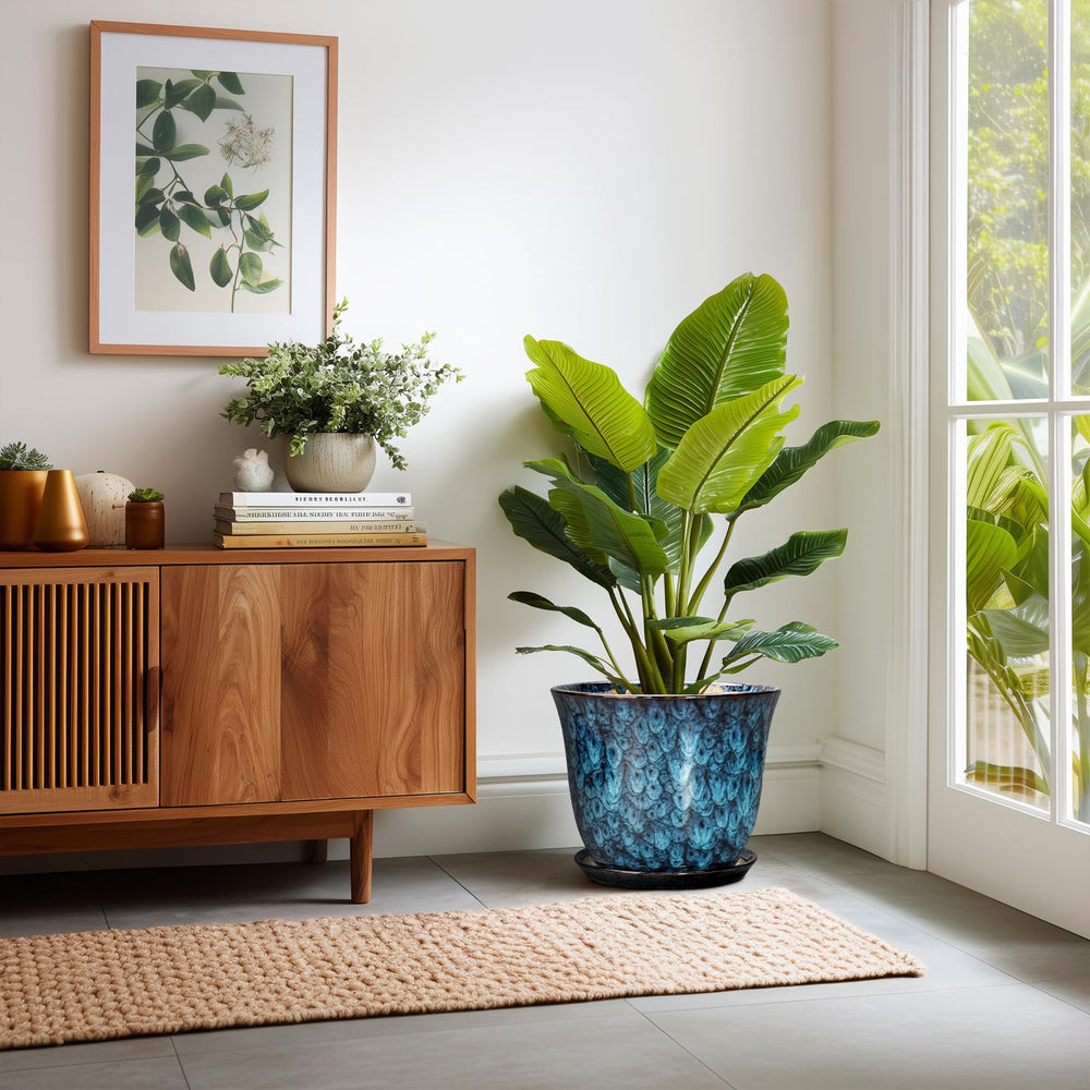 SUNPOTFOR planter in use with monstera demonstrating decorative impact