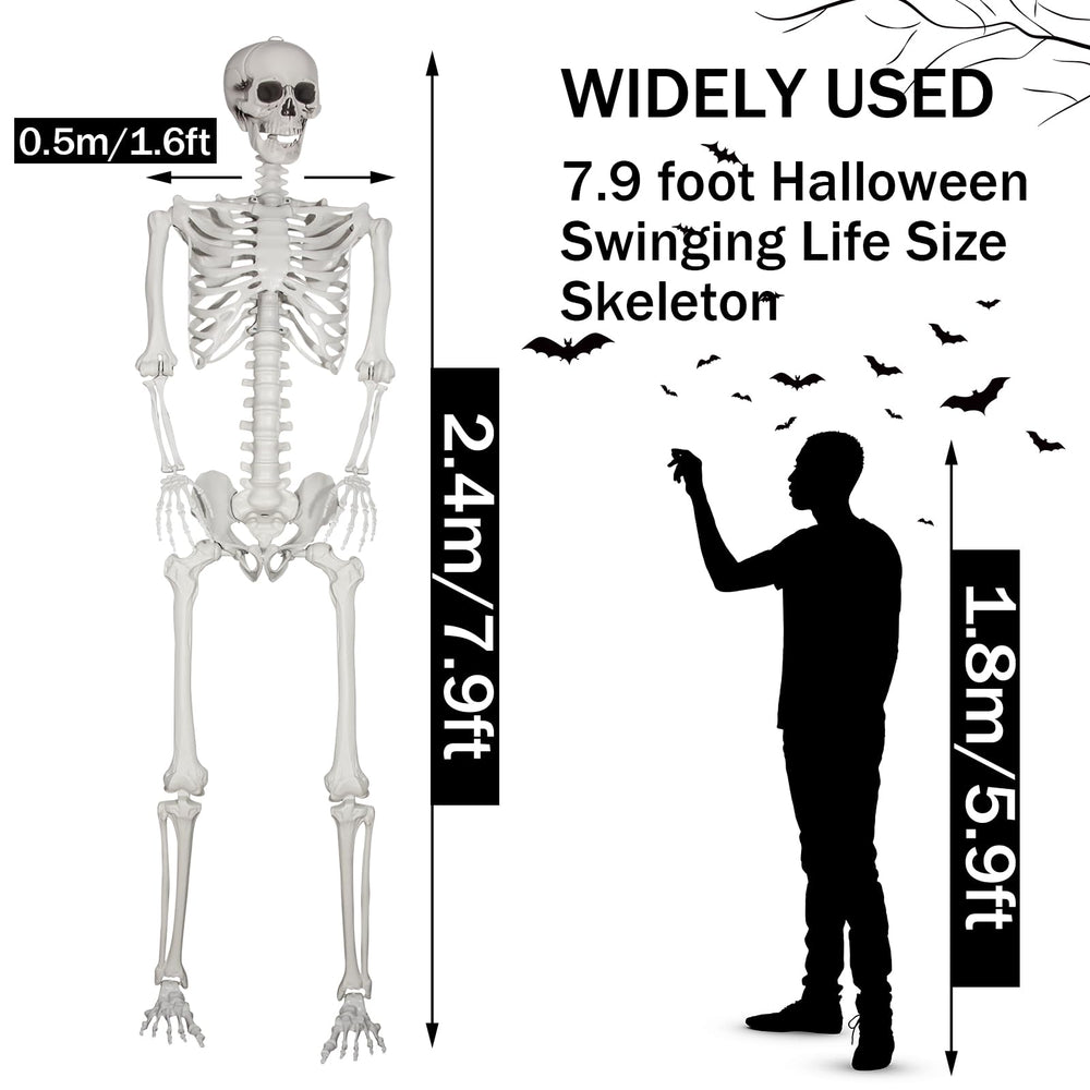 SUNREEK skull close-up highlighting posable jaw and adjustable head benefits