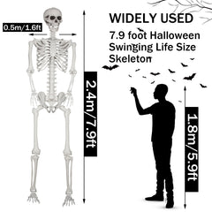 SUNREEK skull close-up highlighting posable jaw and adjustable head benefits