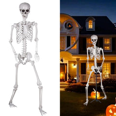 SUNREEK front view of full-size skeleton showing dramatic height and realism
