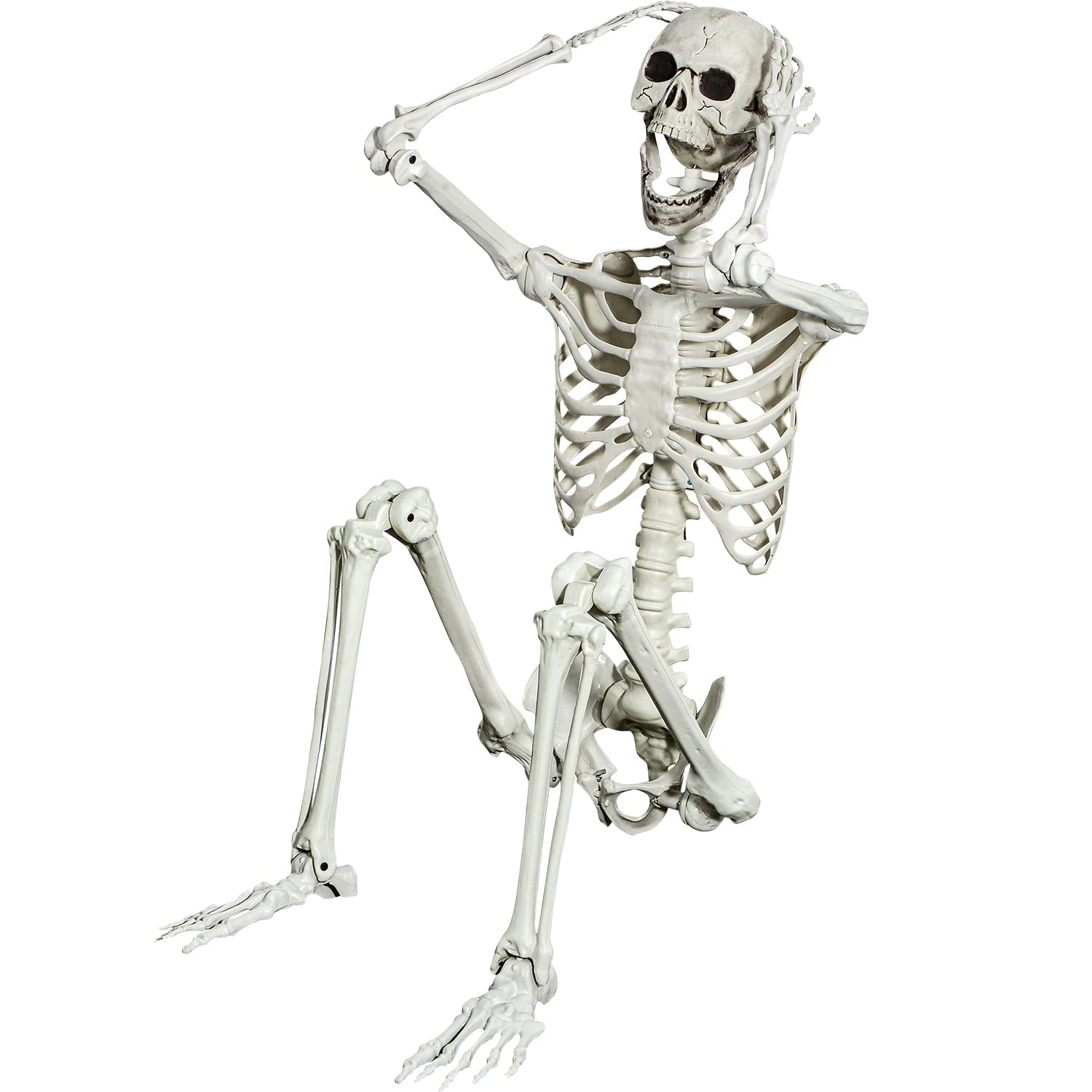 SUNREEK front view life-size skeleton showing realistic bones and poseability benefit