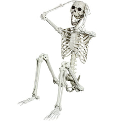 SUNREEK front view life-size skeleton showing realistic bones and poseability benefit