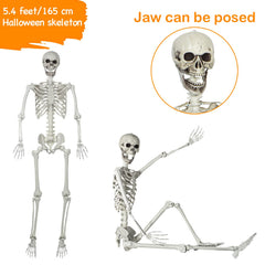 SUNREEK skeleton hanging from porch demonstrating easy suspension benefit