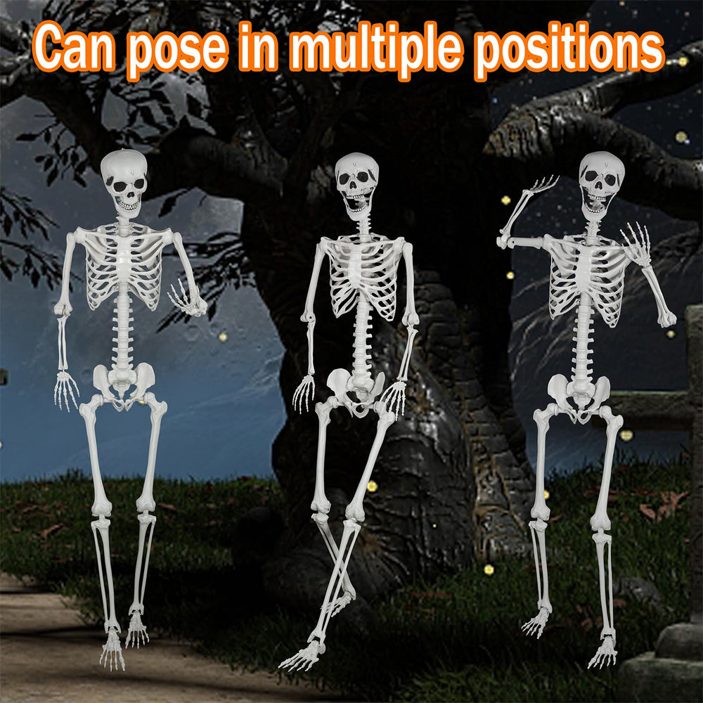 SUNREEK skeleton next to chair for scale demonstrates true-to-life 5.9ft height