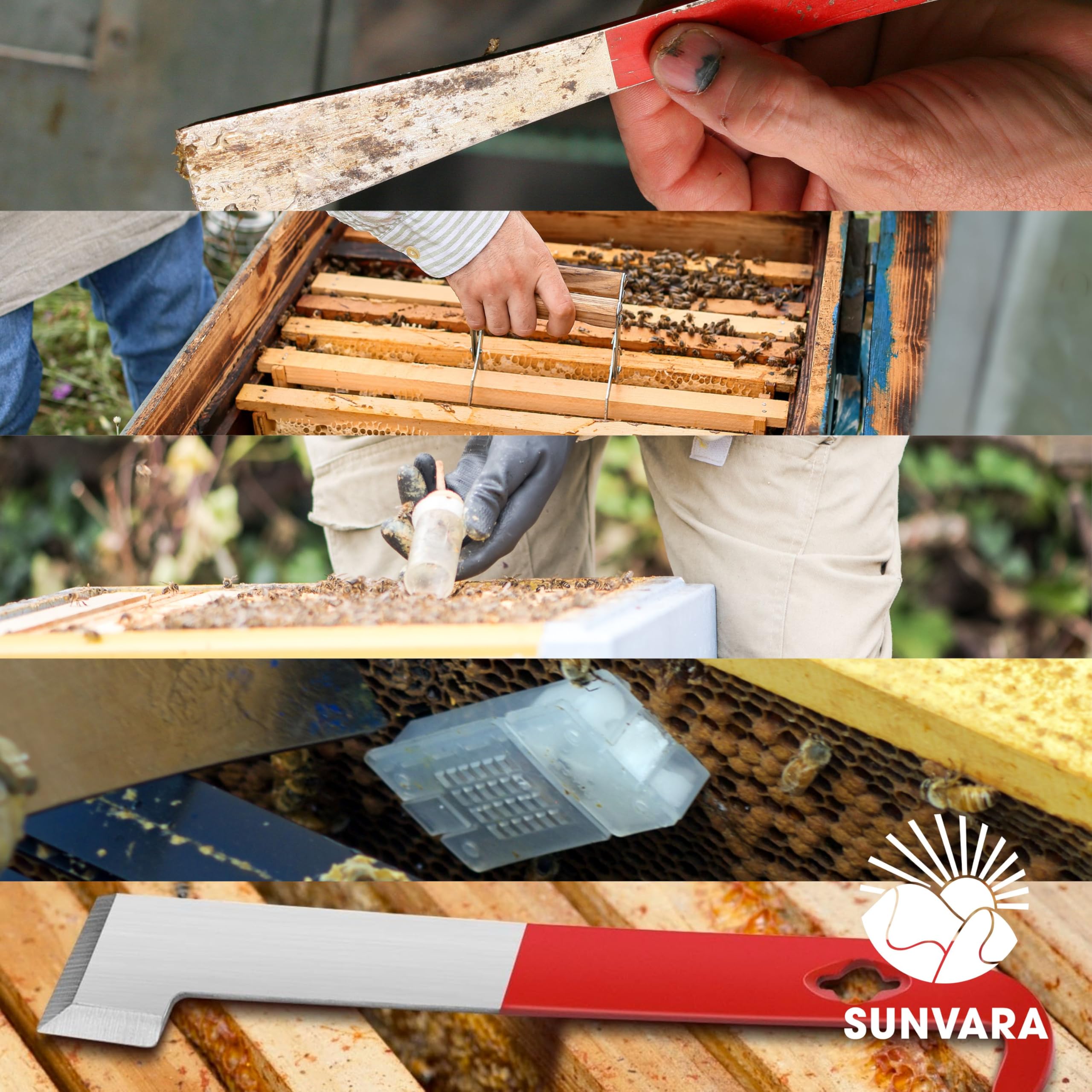 SunVara lifestyle backyard hive scene showing kit in use and beginner-friendly setup