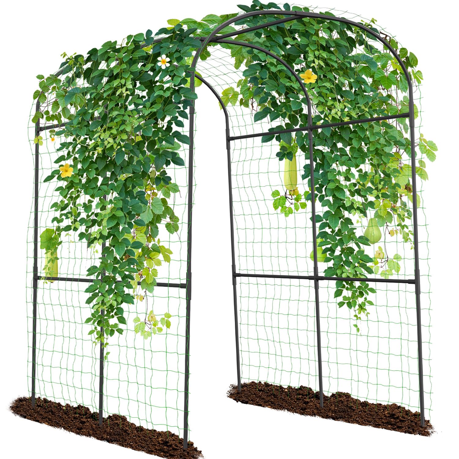 SUNYRISY front view of garden arch showing overall shape and entry benefit