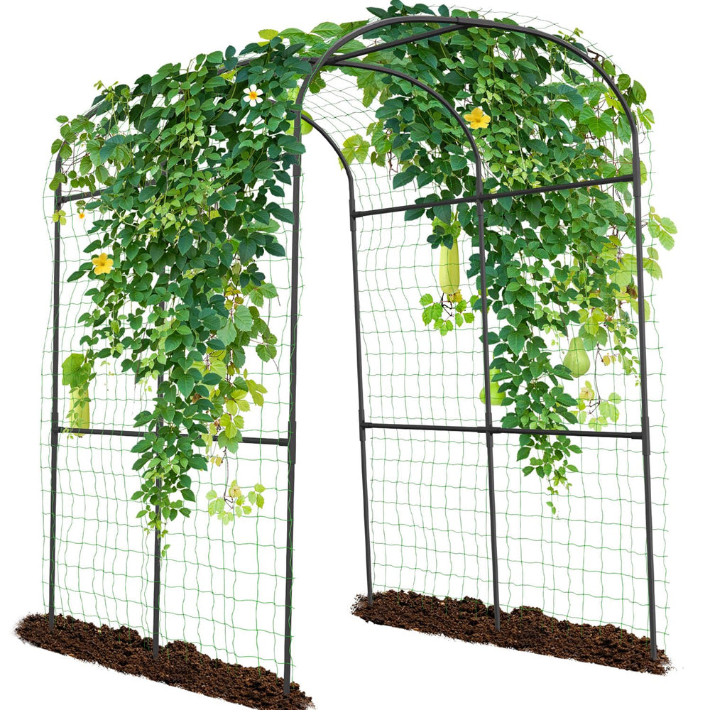 SUNYRISY front view of garden arch showing overall shape and entry benefit