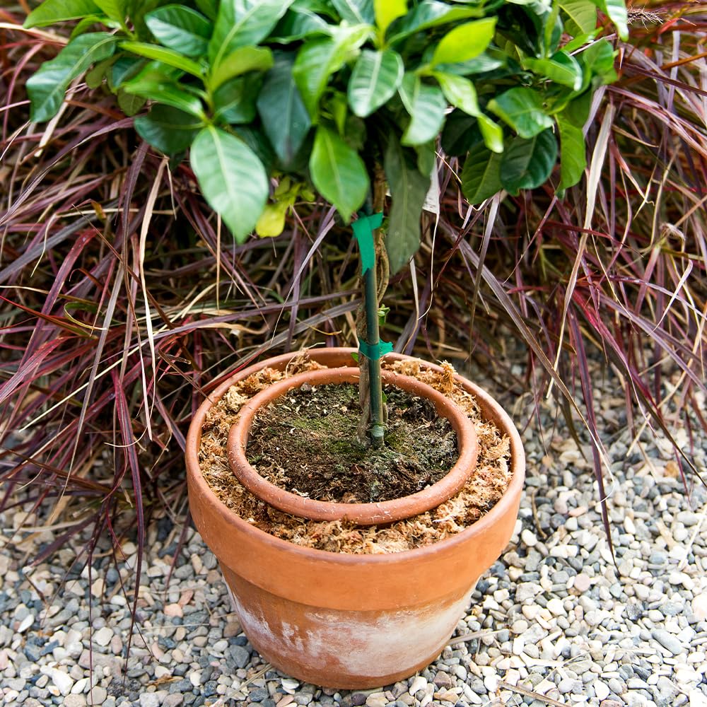 SuperMoss used in a floral centerpiece showing natural look and decorative moisture control