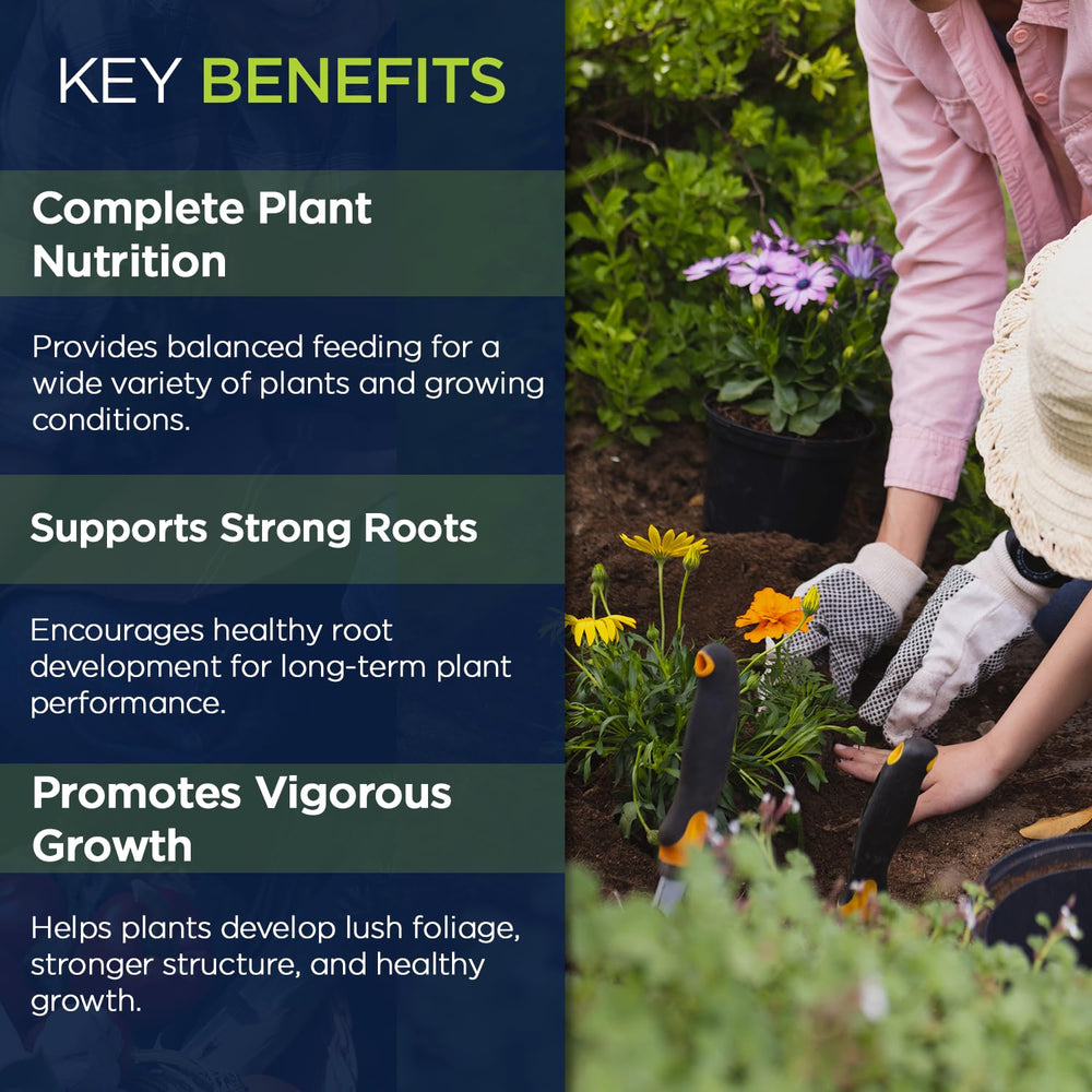 Supply Solutions treated lawn with lush green turf, showcasing visible color improvement