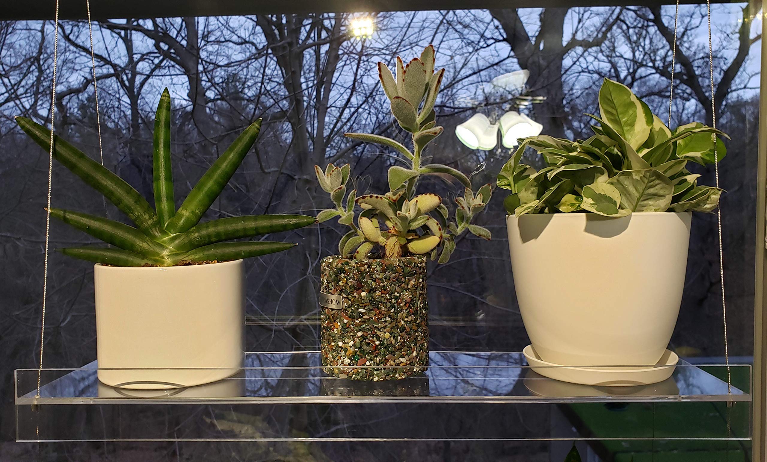 SUPREMETECH in-use image with two-tier plants demonstrating space-saving display