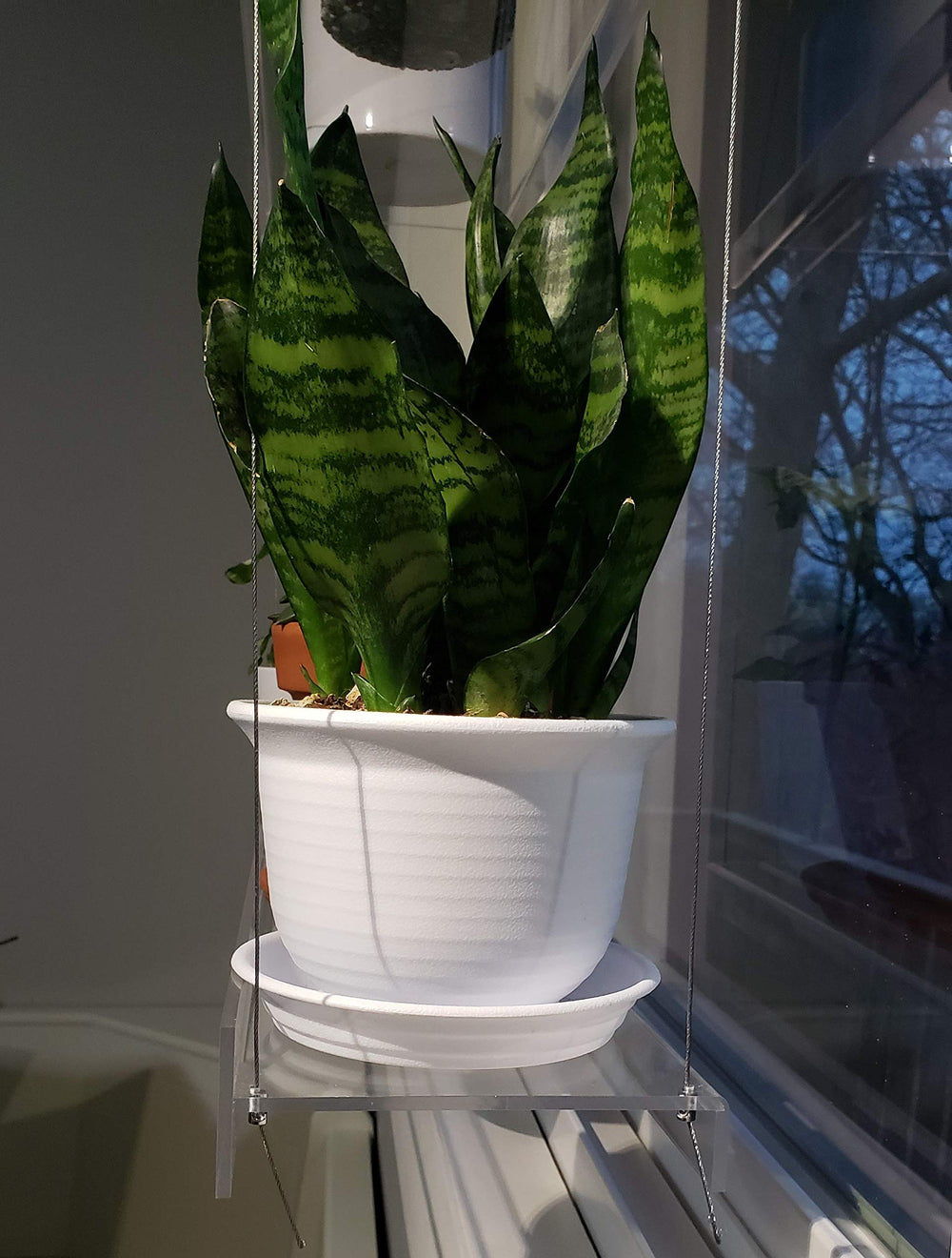 SUPREMETECH scale comparison with potted plant showing shelf depth and size guidance