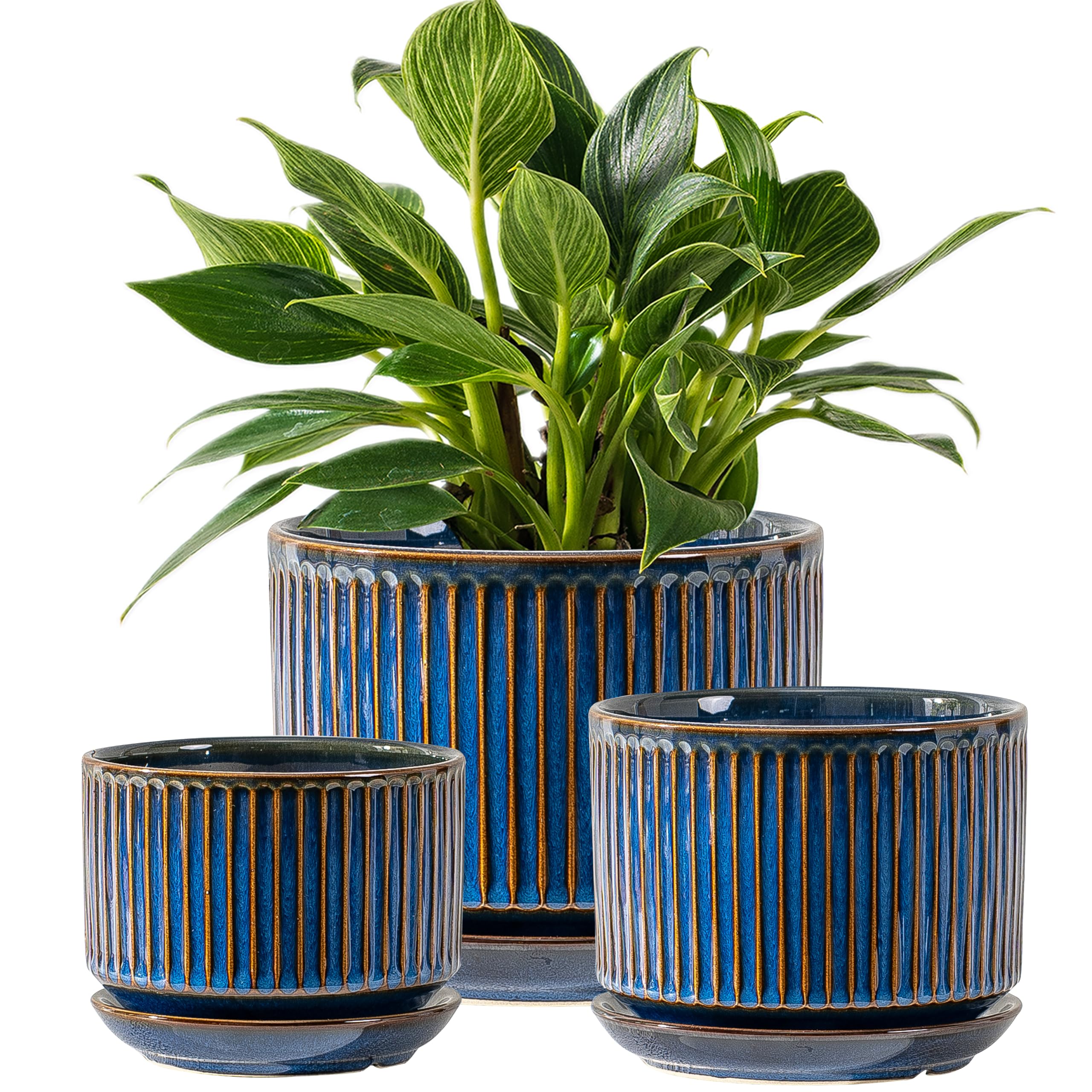 SURE YUESI front view glossy blue three-piece set showcasing coordinated styling