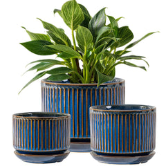 SURE YUESI front view glossy blue three-piece set showcasing coordinated styling