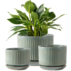 SURE YUESI front view of three matte green pots showing layered styling benefit