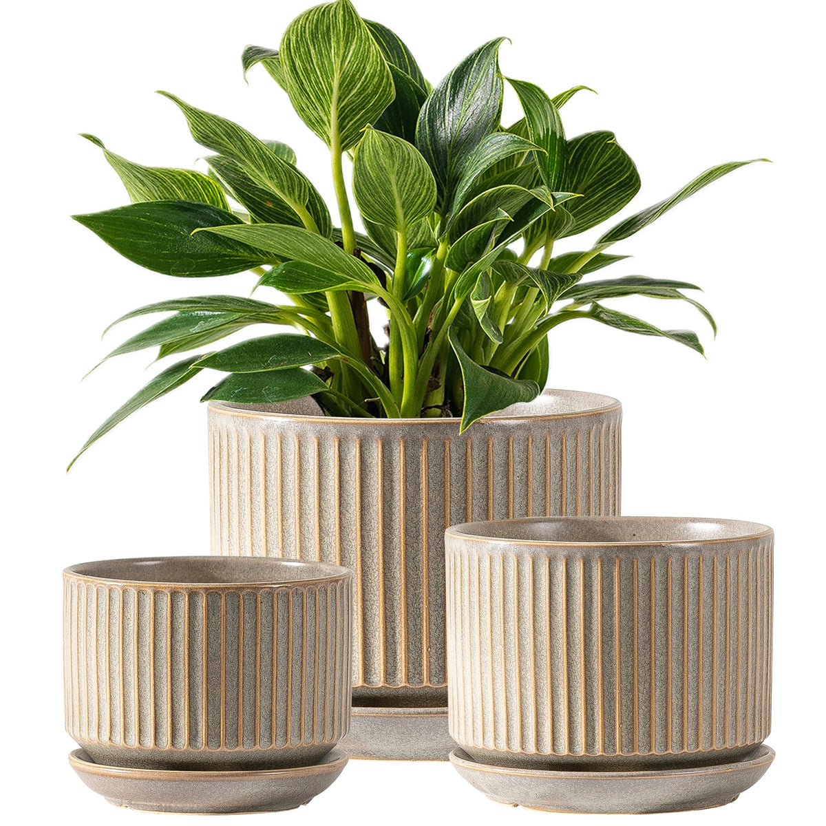 SURE YUESI front view of three matte grey pots showing balanced set and curb appeal