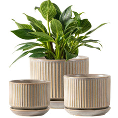 SURE YUESI front view of three matte grey pots showing balanced set and curb appeal