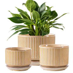 SURE YUESI front view of three glossy beige ceramic pots, cohesive stylish display