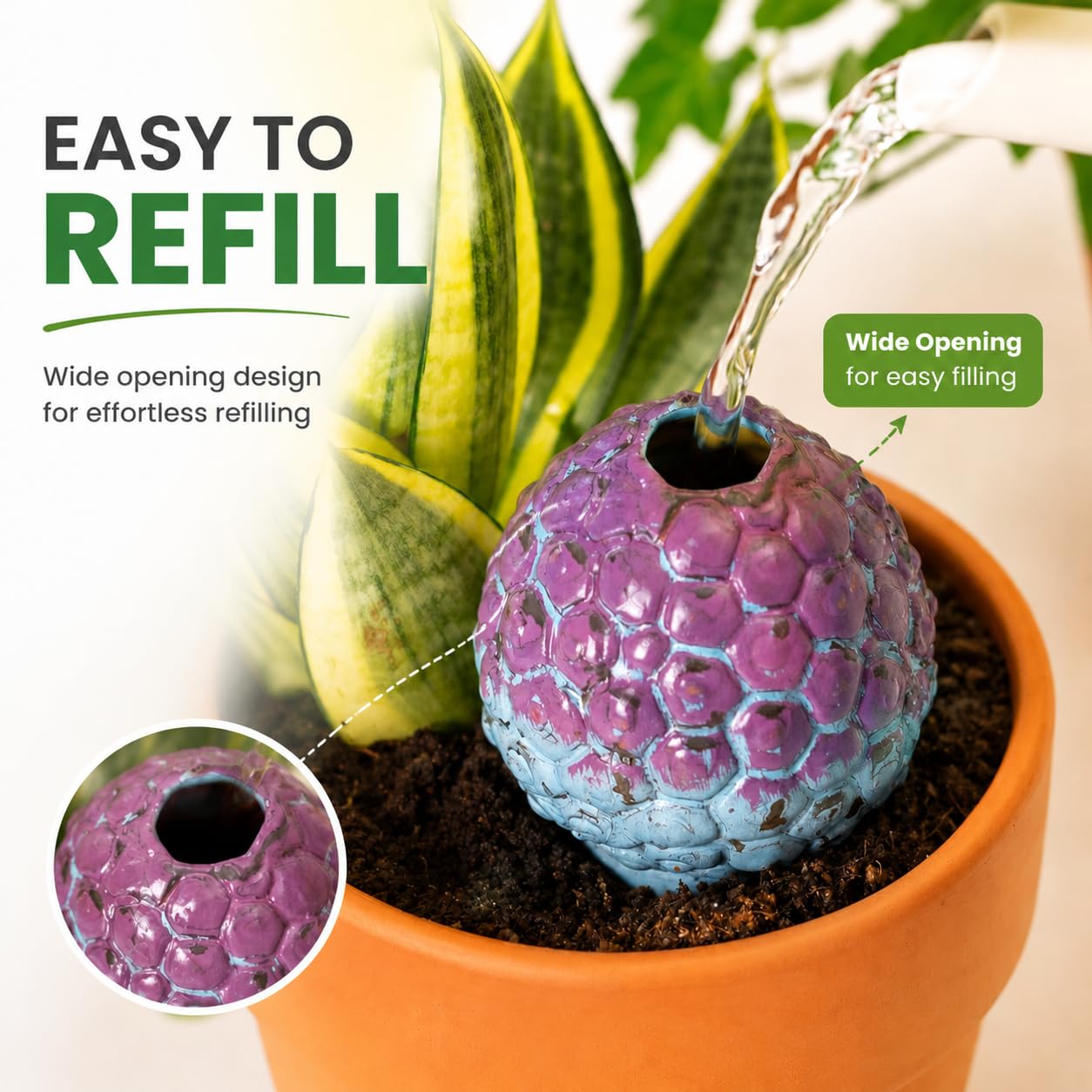 SURE YUESI in-pot usage with succulent showing steady soil moisture benefit