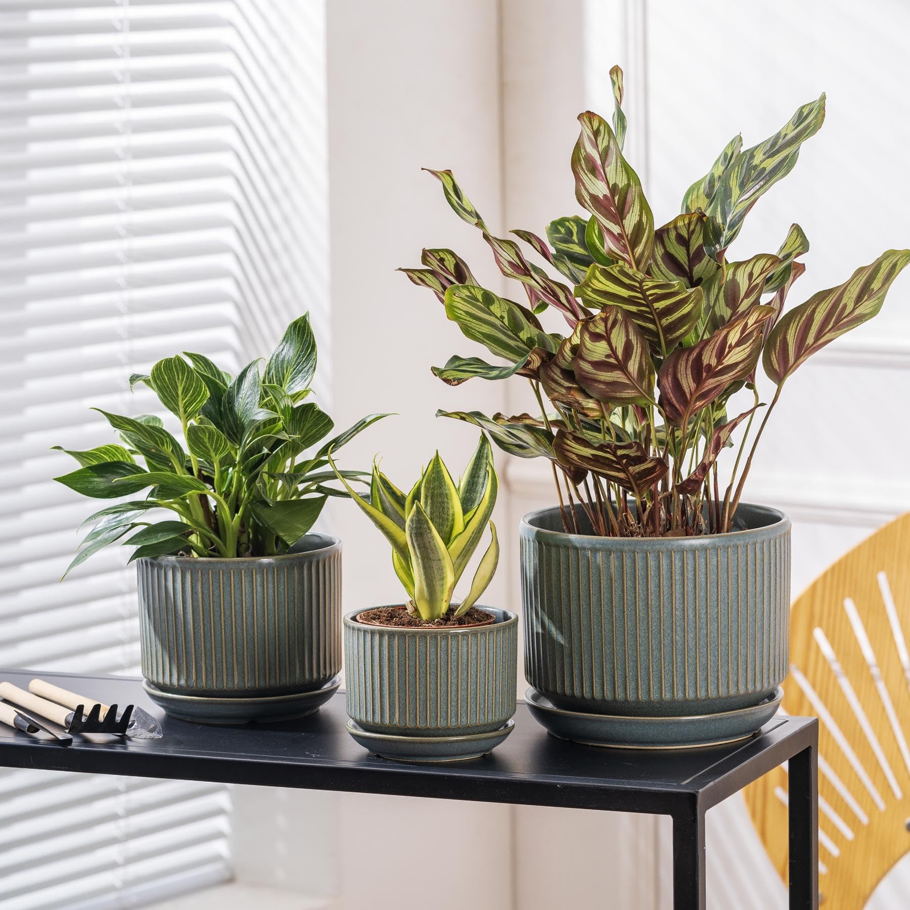 SURE YUESI large planter staged on patio creating an outdoor focal point