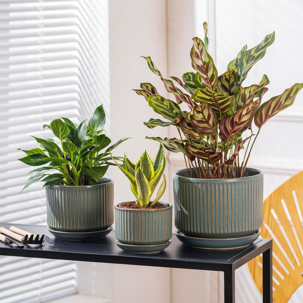SURE YUESI large planter staged on patio creating an outdoor focal point