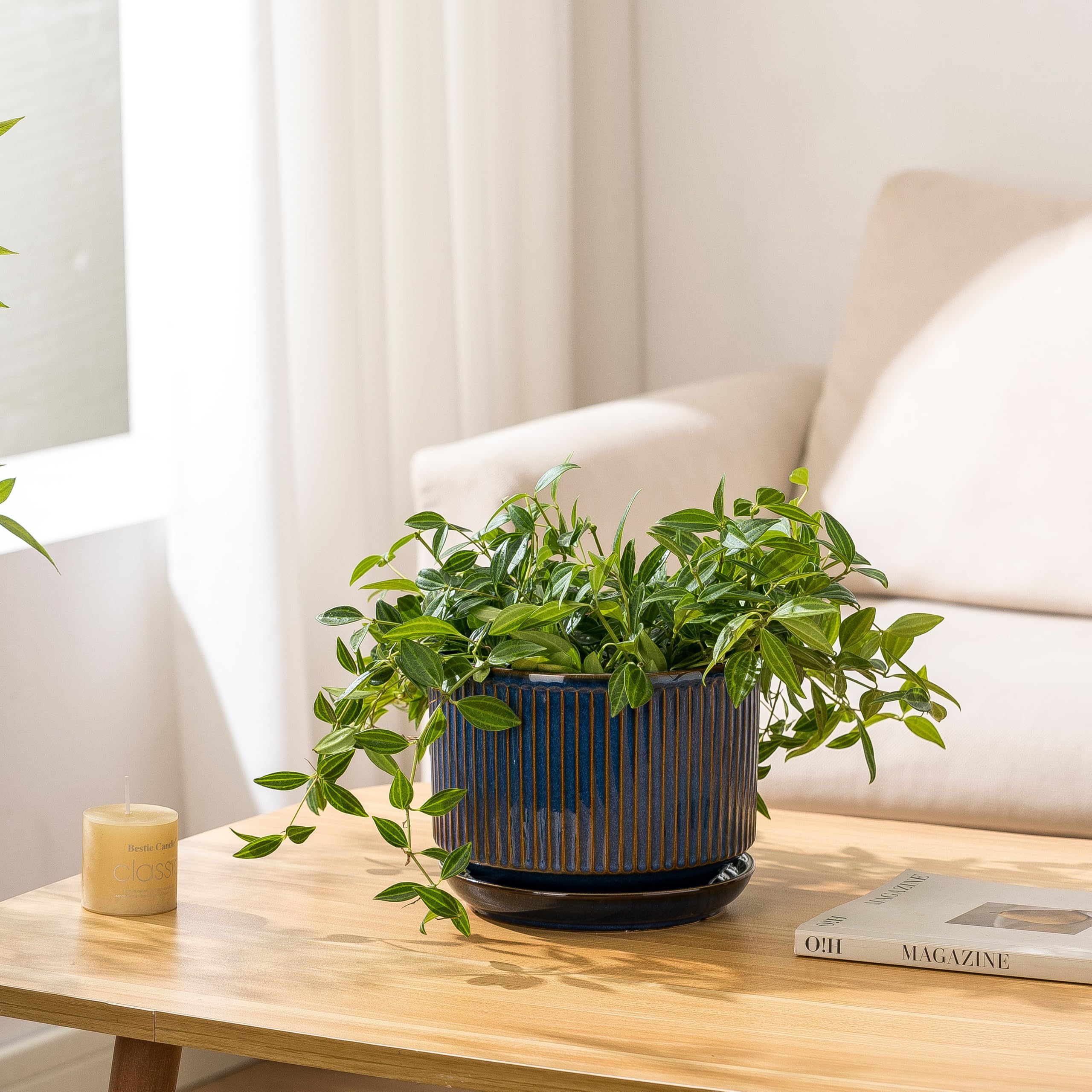 SURE YUESI medium pot on windowsill with pothos providing attractive greenery and airflow