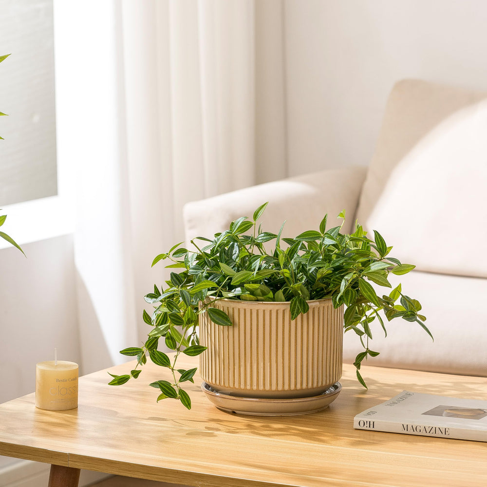 SURE YUESI medium pot placed on a bright windowsill showing home styling benefit
