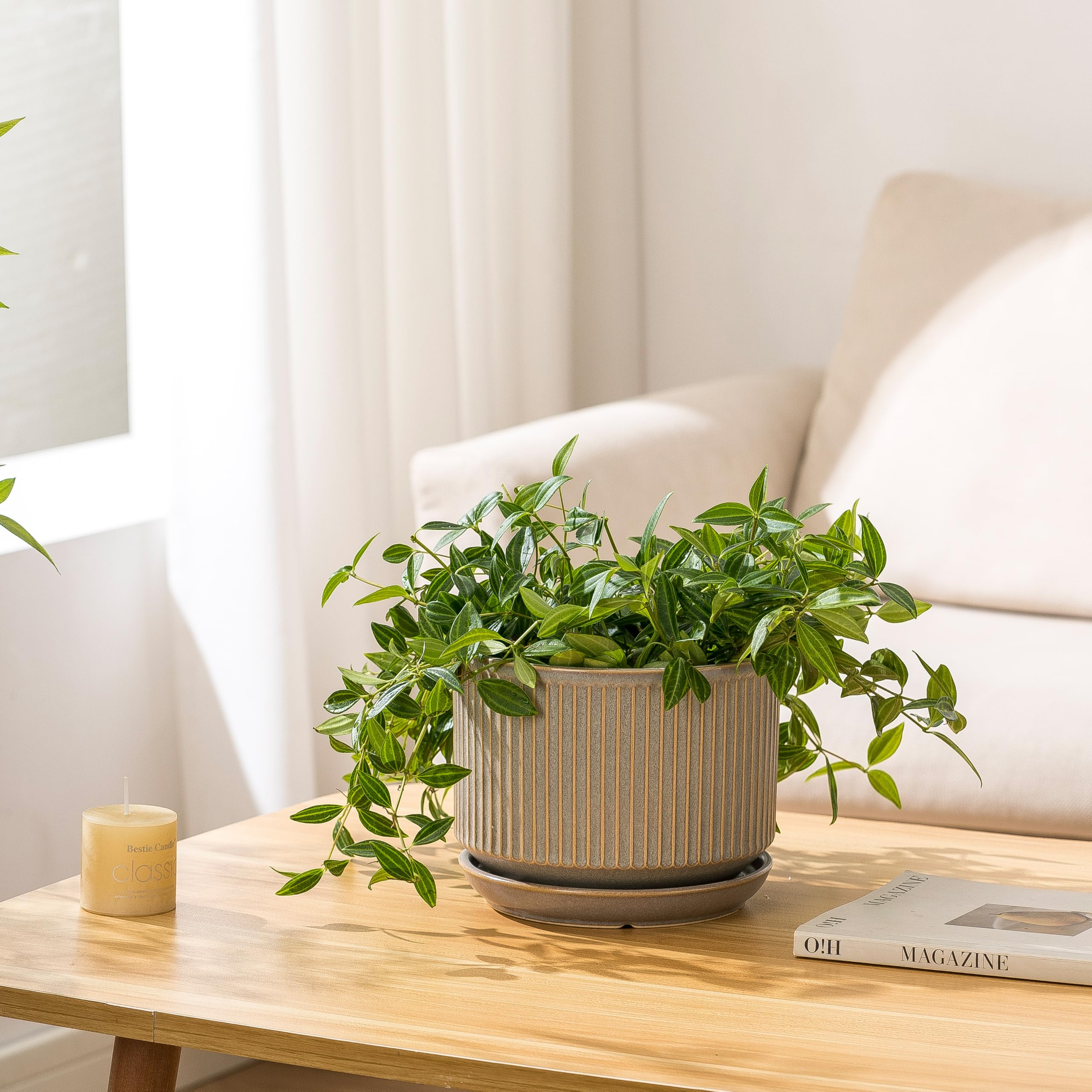 SURE YUESI medium pot on windowsill showing space-saving styling benefit