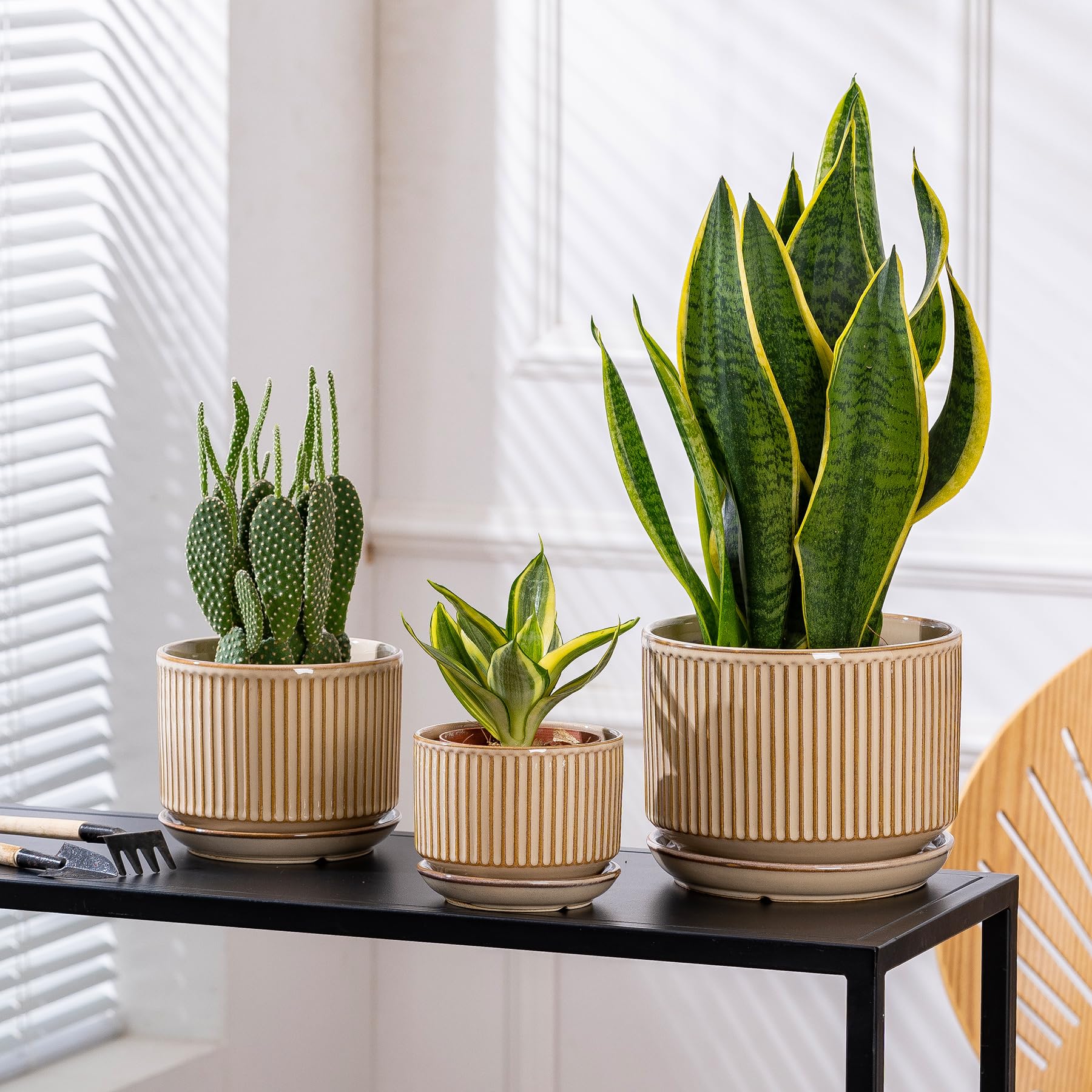 SURE YUESI small pot with succulent on desk illustrating compact plant display