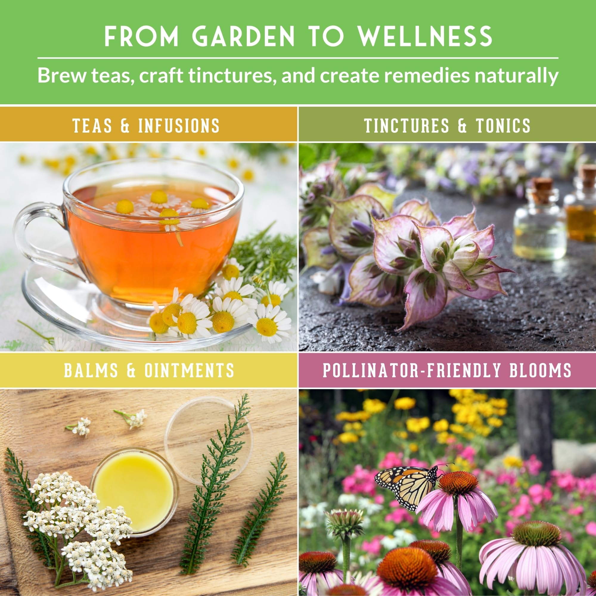 SURVIVAL GARDEN SEEDS herbs growing in containers demonstrating space-saving cultivation