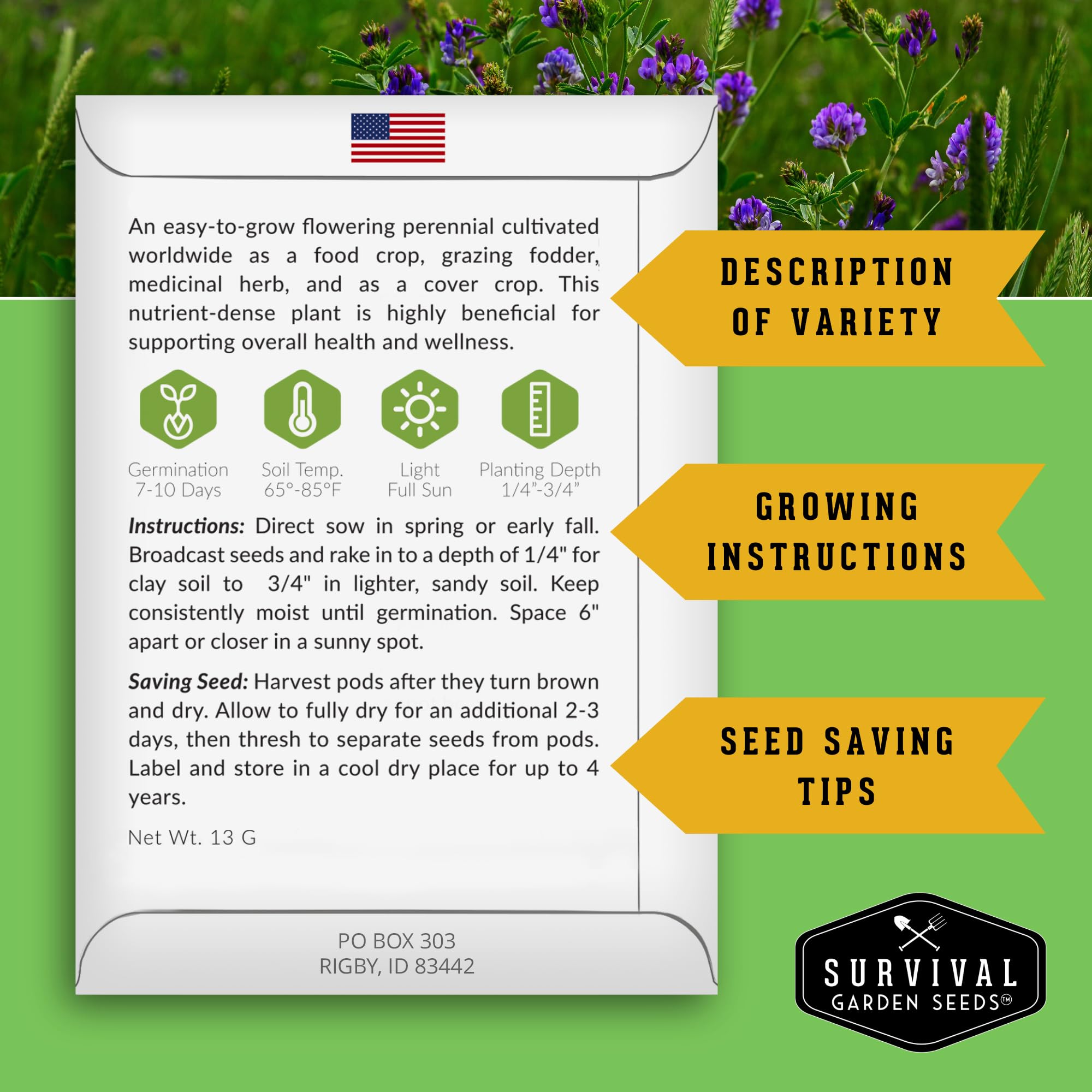SURVIVAL GARDEN SEEDS mixed herb garden wide shot showing diversity and pollinator friendly blooms