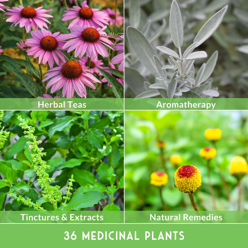 SURVIVAL GARDEN SEEDS clear label and contents view showing variety names and planting guidance