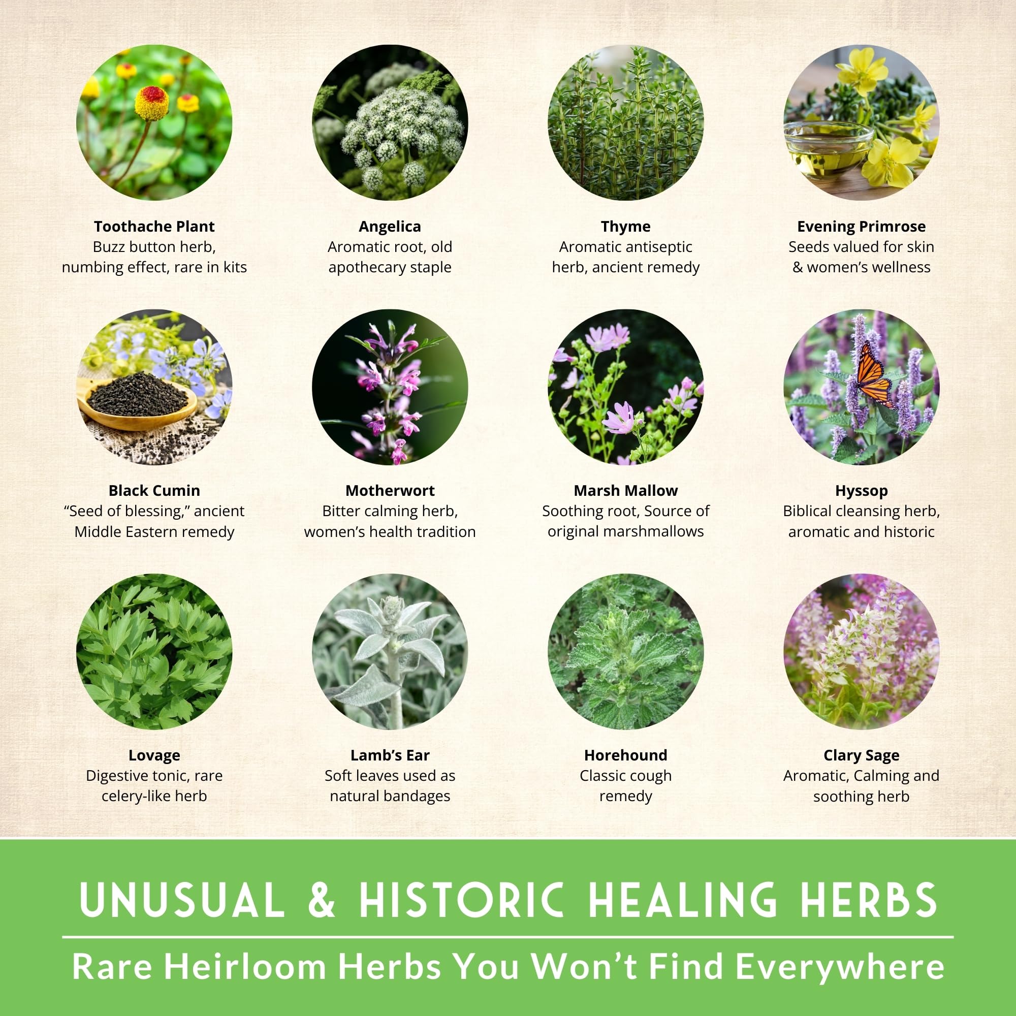 SURVIVAL GARDEN SEEDS individual seed pouches arrayed for easy selection and organization