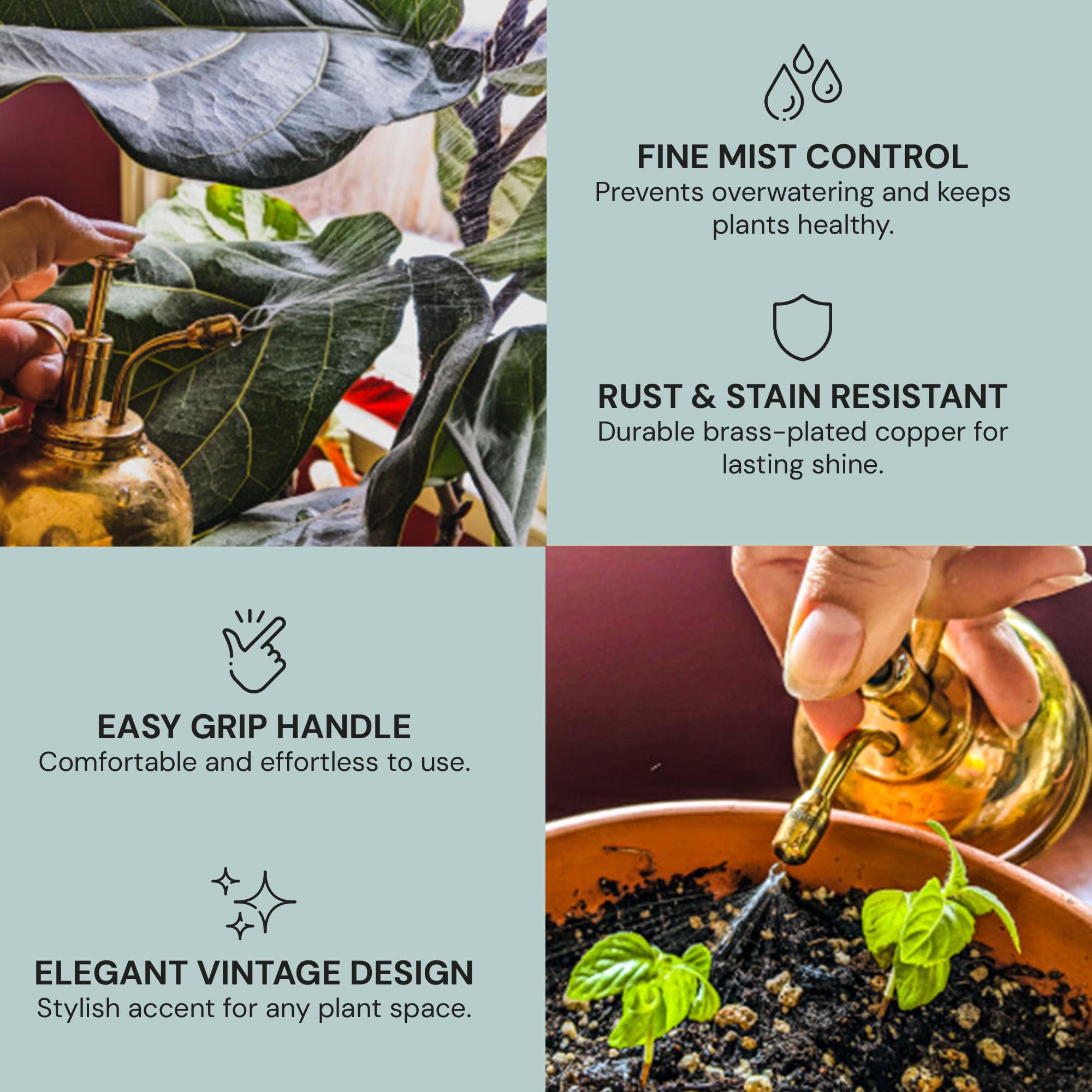 Sustainable Village mister used on fern increasing humidity without overwatering benefit